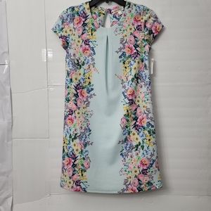 Poppies and Roses Big Girls  Floral Fit-And-Flare Dress